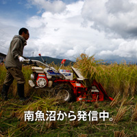 自遊人ブログ