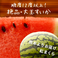 熊本産すいか紅まくら