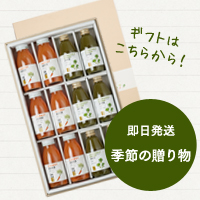即日発送ギフト