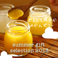 夏ギフトお歳暮2013