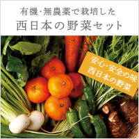 西日本野菜宅配セット