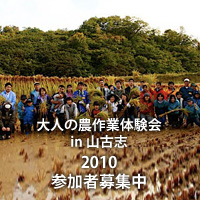 大人の農作業体験会 in 旧山古志村　2010年参加者募集中