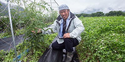 自遊人オーガニック・エクスプレス 安全・安心の味 有機・無農薬で栽培した西日本の野菜セット
